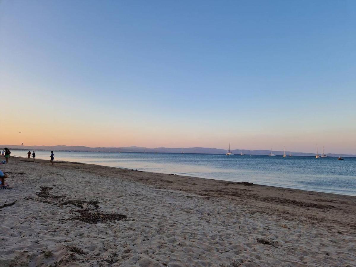 Les Flamants Roses De La Capte T2 * Hyeres